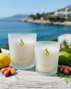 Acqua Di Param Blue Mediterraneo Inspired Scented Candle